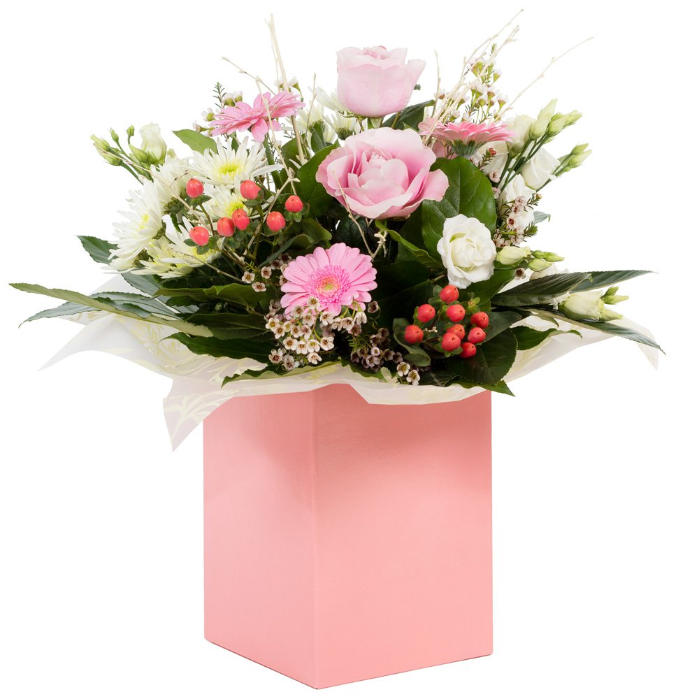 Scent of Heaven - Hand Tied Aqua Pack
